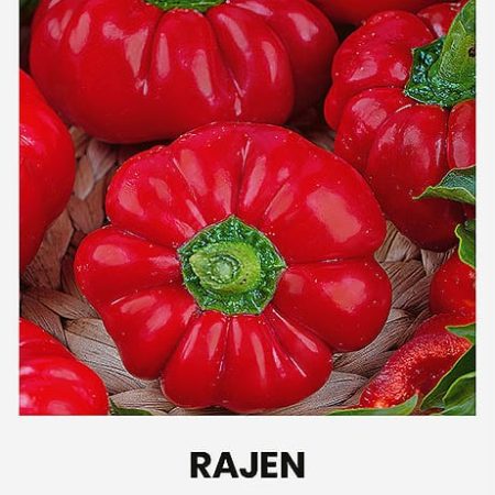 PAPRIKOS VIENAMETĖS RAJEN