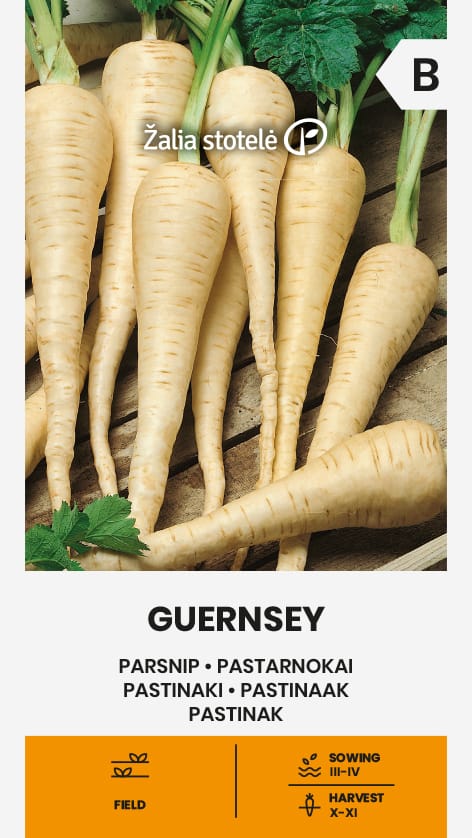 PASTARNOKAI GUERNSEY