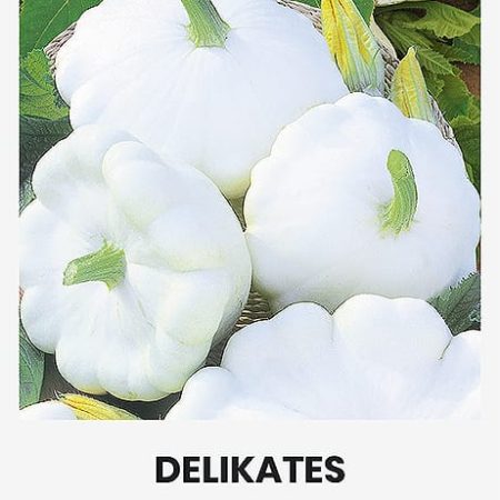 PATISONAI DELIKATES