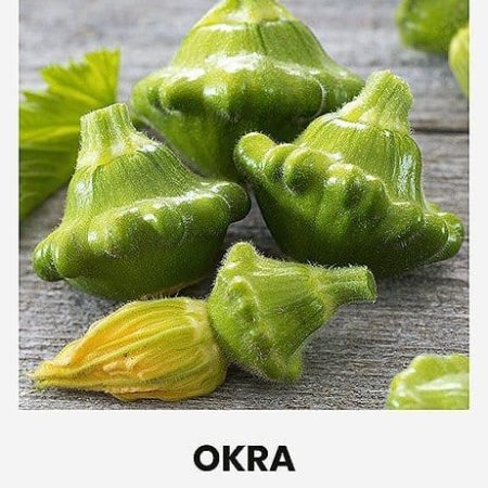 PATISONAI OKRA