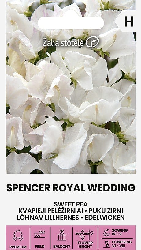 PELĖŽIRNIAI K. SPENCER ROYAL WEDDING