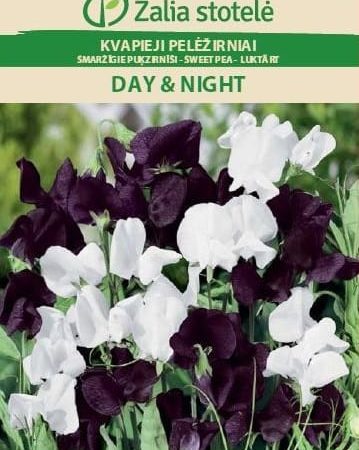 PELĖŽIRNIAI KVAPIEJI DAY&NIGHT
