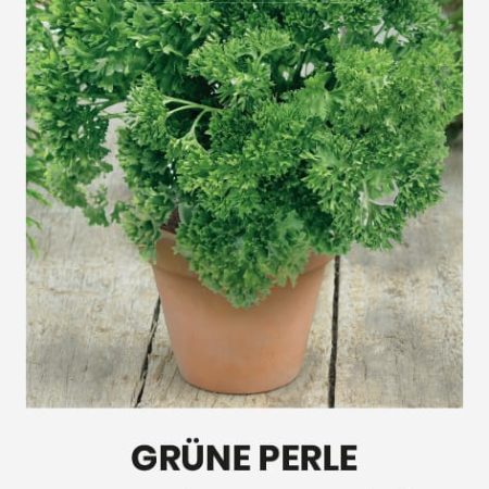 PETRAŽOLĖS SĖJAMOSIOS GRÜNE PERLE