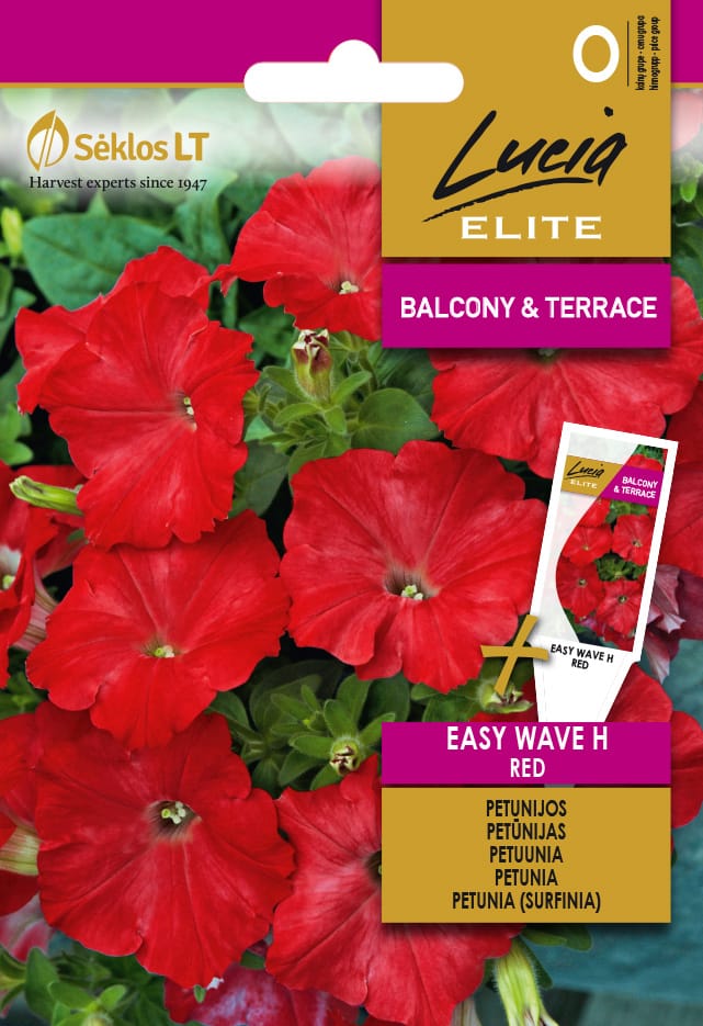 PETUNIJOS EASY WAVE H RED