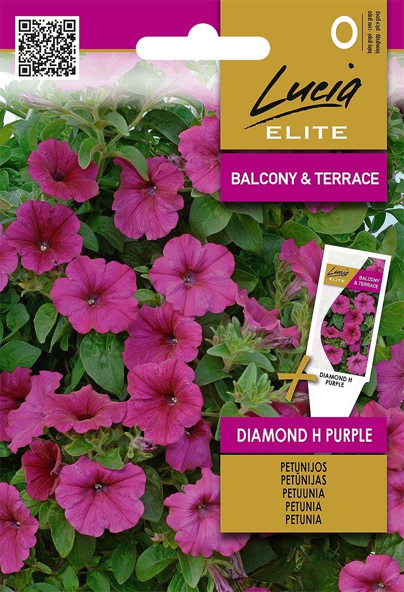 PETUNIJОS-SURFINIJОS DIAMOND H PURPLE