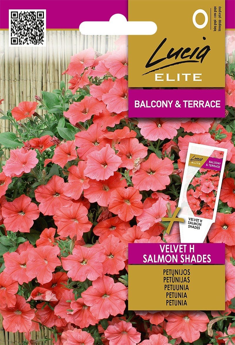 PETUNIJОS-SURFINIJОS VELVET H SALMON SHADES