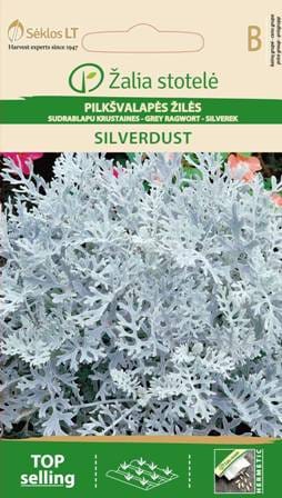 PILKŠVALAPĖS ŽILĖS SILVERDUST