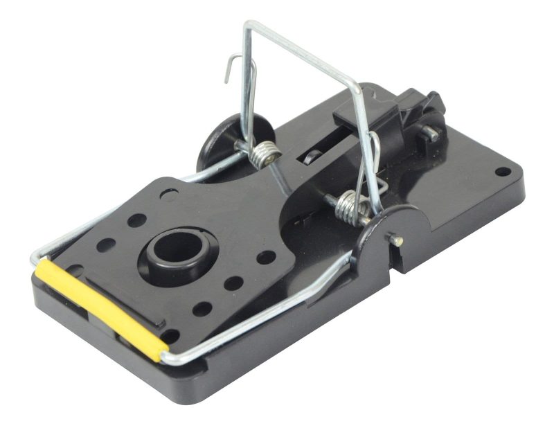 PLASTIKINIAI SPĄSTAI PELĖMS, 14X8CM - Image 2
