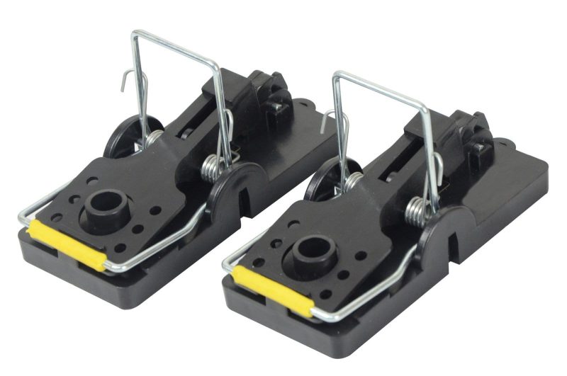 PLASTIKINIAI SPĄSTAI PELĖMS, 2VNT, 12X5CM - Image 2