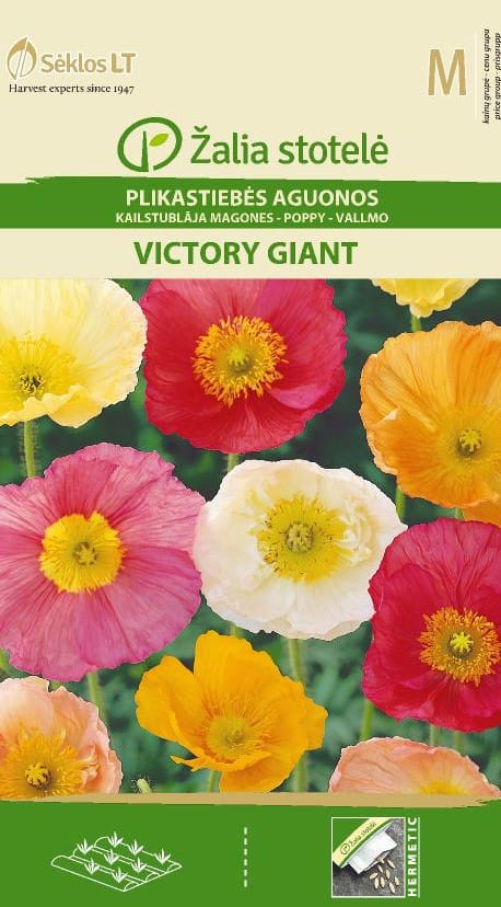 PLIKASTIEBĖS AGUONOS VICTORY GIANT