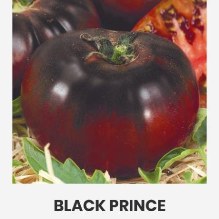 POMIDORAI VALGOMIEJI BLACK PRINCE