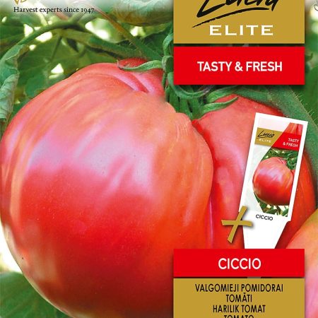 POMIDORAI VALGOMIEJI CICCIO