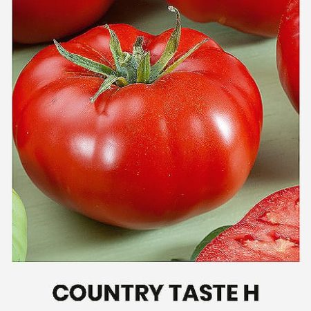 POMIDORAI VALGOMIEJI COUNTRY TASTE H