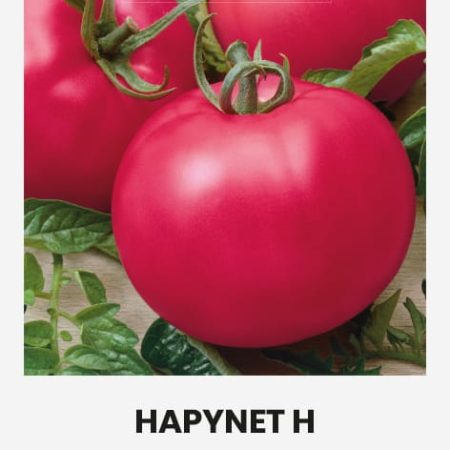 POMIDORAI VALGOMIEJI HAPYNET H