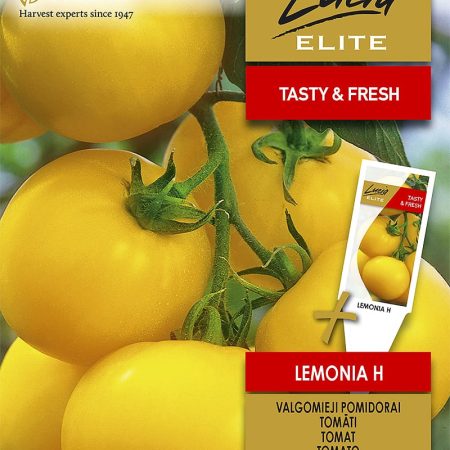 POMIDORAI VALGOMIEJI LEMONIA H