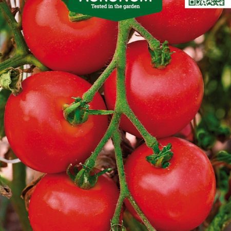 POMIDORAI VALGOMIEJI MONEYMAKER