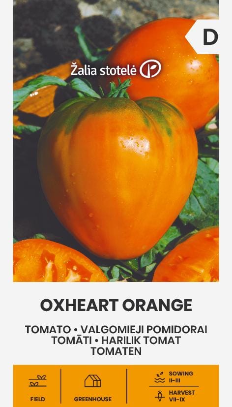 POMIDORAI VALGOMIEJI OXHEART ORANGE