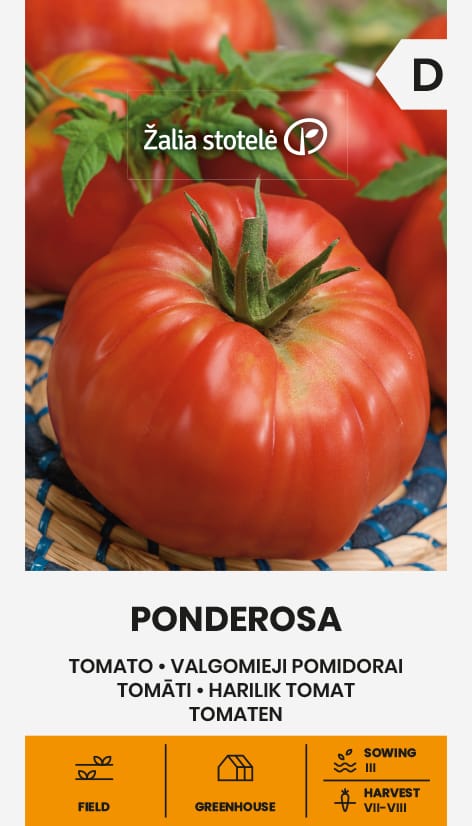POMIDORAI VALGOMIEJI PONDEROSA