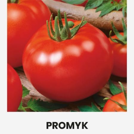 POMIDORAI VALGOMIEJI PROMYK