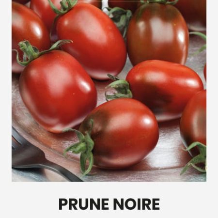 POMIDORAI VALGOMIEJI PRUNE NOIRE