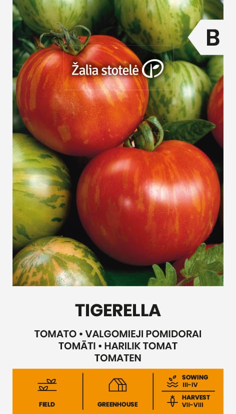 POMIDORAI VALGOMIEJI TIGERELLA
