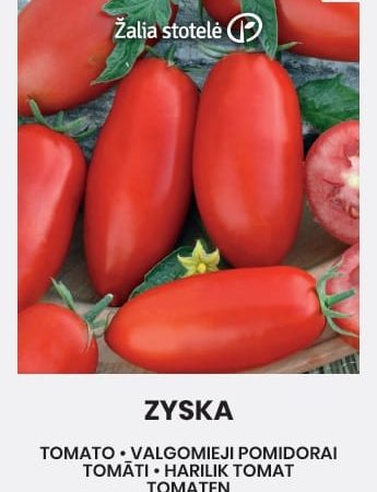 POMIDORAI VALGOMIEJI ZYSKA