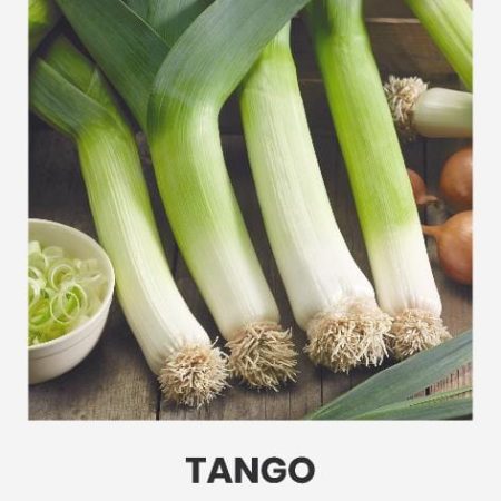 PORAI DARŽINIAI TANGO