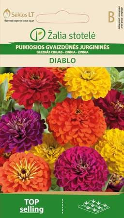 PUIKIOSIOS GVAIZDŪNĖS DIABLO