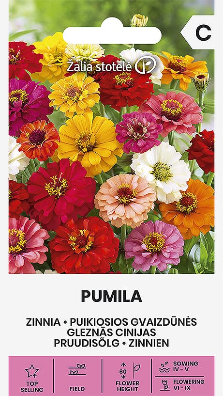 PUIKIOSIOS GVAIZDŪNĖS PUMILA