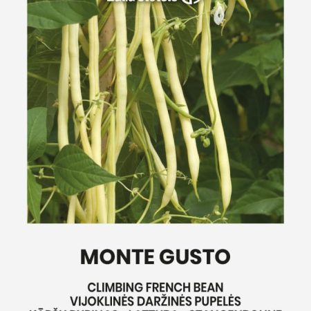 PUPELĖS DARŽINĖS VIJOKLINĖS MONTE GUSTO