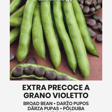 PUPOS DARŽO EXTRA PRECOCE A GRANO VIOLETTO