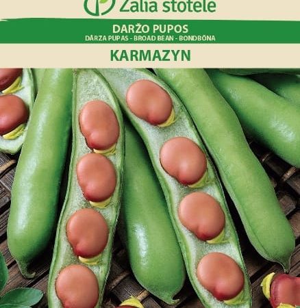 PUPOS DARŽO KARMAZYN