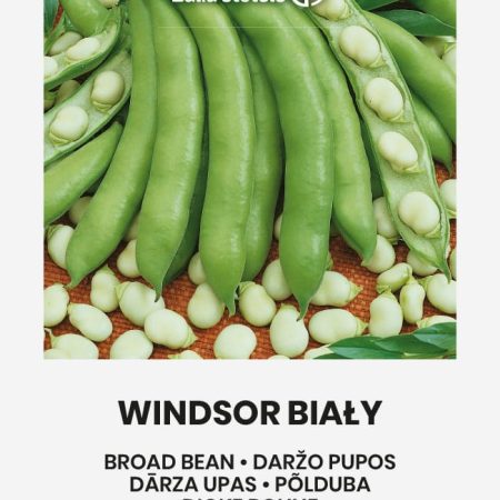 PUPOS DARŽO WINDSOR BIALY