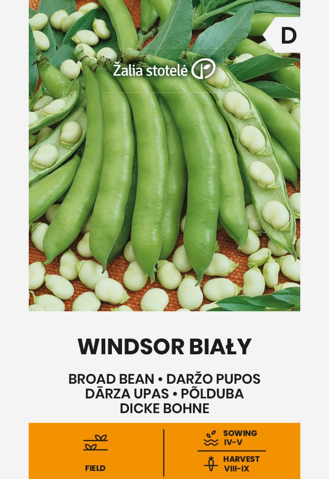 PUPOS DARŽO WINDSOR BIALY