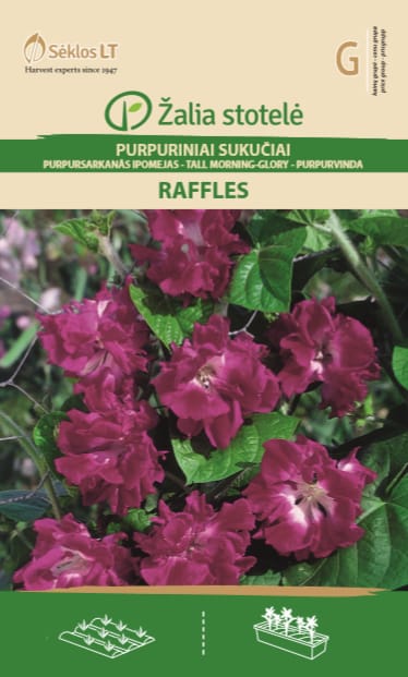 PURPURINIAI SUKUČIAI RAFFLES