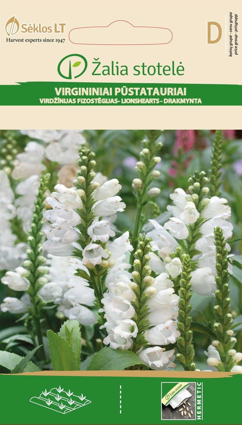 PŪSTATAURIAI VIRGININIAI