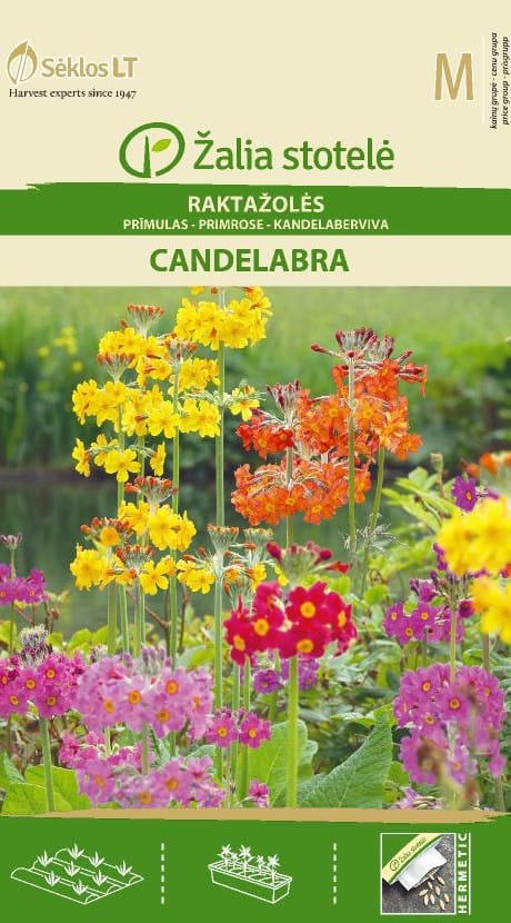 RAKTAŽOLĖS CANDELABRA