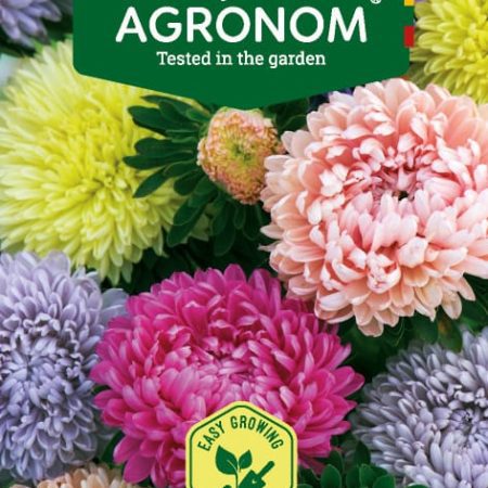 RATILIAI KININIAI POMPON