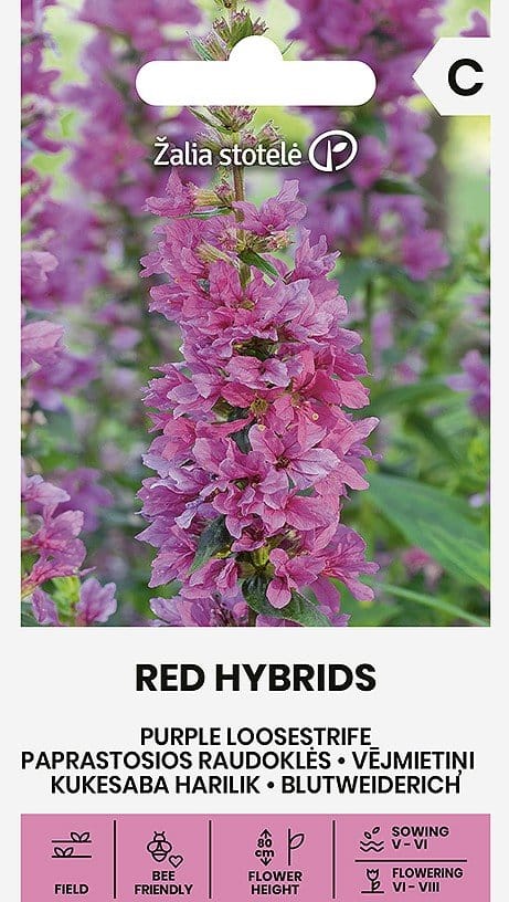 RAUDOKLĖS PAPRASTOSIOS RED HYBRIDS