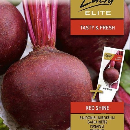 RAUDONIEJI BUROKĖLIAI RED SHINE