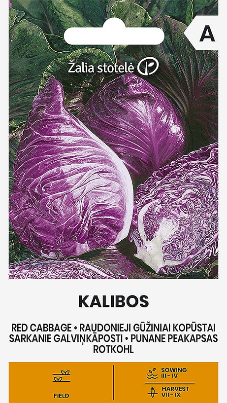 RAUDONIEJI GŪŽINIAI KOPŪSTAI KALIBOS