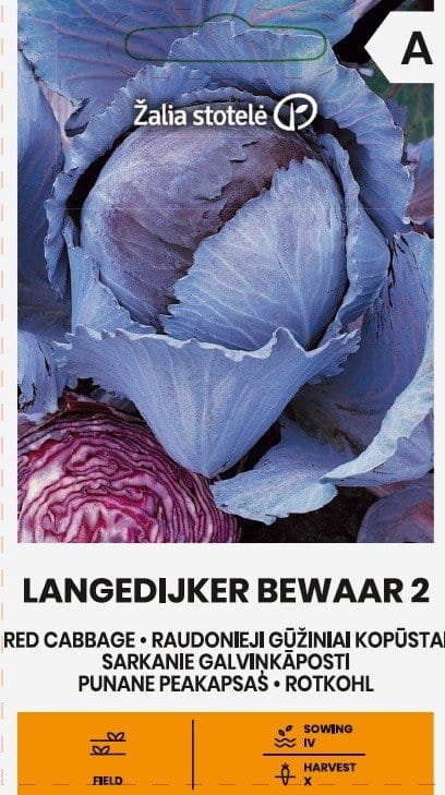 RAUDONIEJI GŪŽINIAI KOPŪSTAI LANGEDIJKER BEWAAR 2