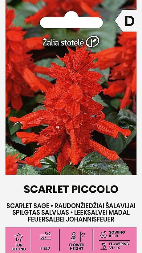 RAUDONŽIEDŽIAI ŠALAVIJAI SCARLET PICCOLO