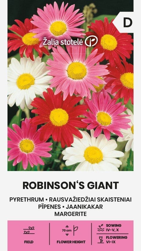 RAUSVAŽIEDŽIAI SKAISTENIAI ROBINSON S GIANT