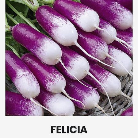 RIDIKĖLIAI VALGOMIEJI FELICIA