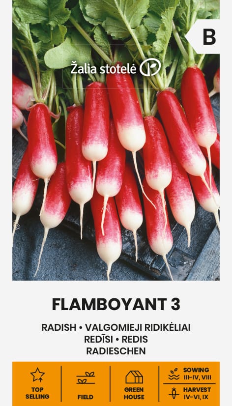 RIDIKĖLIAI VALGOMIEJI FLAMBOYANT 3