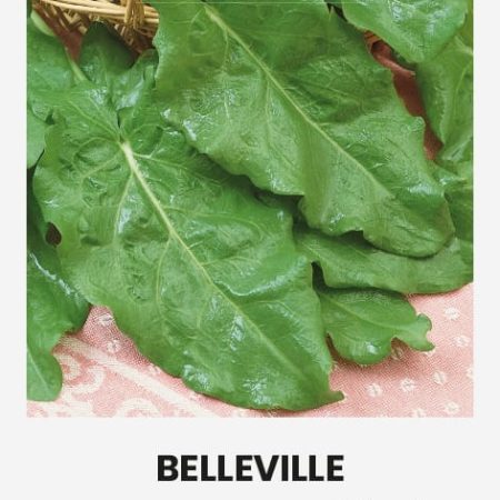 RŪGŠTYNĖS BELLEVILLE