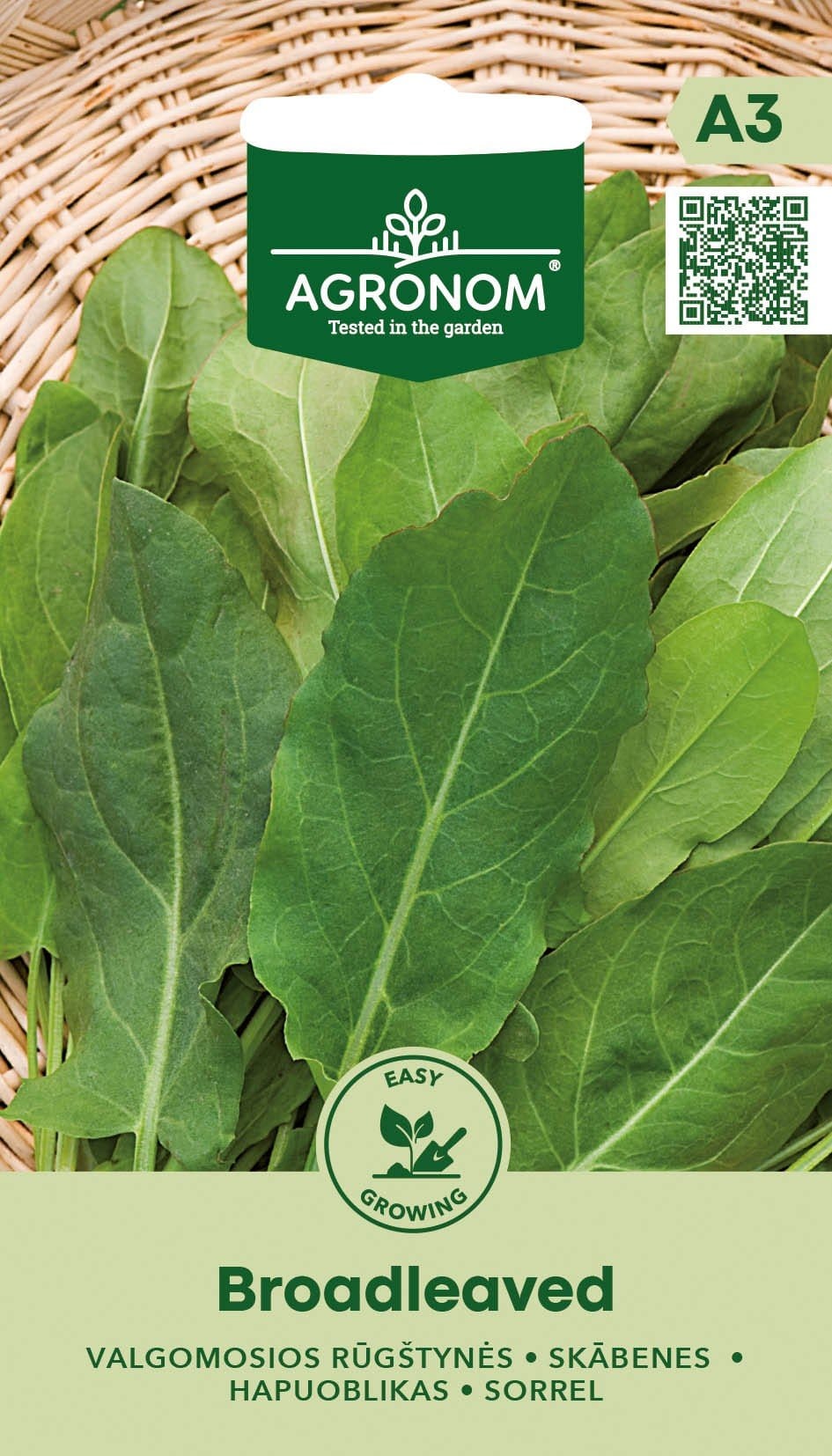 RŪGŠTYNĖS VALGOMOSIOS BROADLEAVED