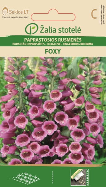 RUSMENĖS PAPRASTOSIOS FOXY MIX