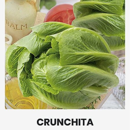 SALOTOS SĖJAMOSIOS CRUNCHITA